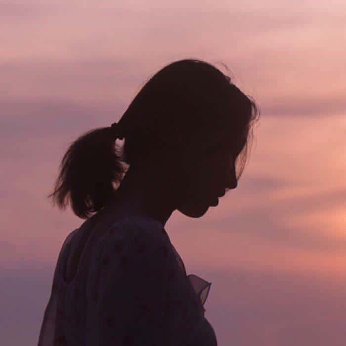 Vibe13-菠菜星球